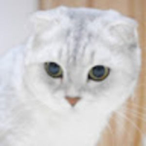 Meet your Posher, May anne